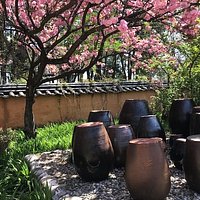 traditional pots.