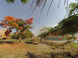 Marangki Kepa Bungalow in Alor Island