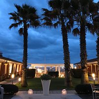 Un oasi di palme all' entrata del nostro ristorante