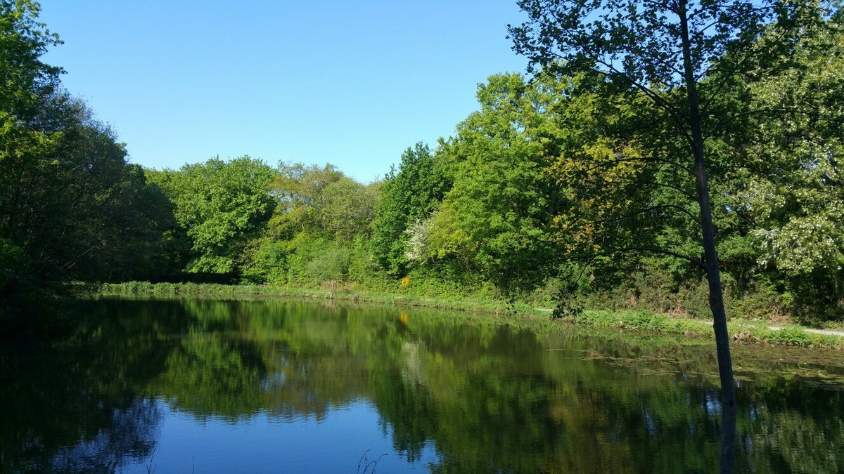 PARQUE DE GAYEULLES RENNES FRANCIA