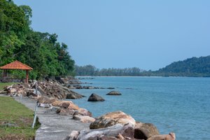 Seyahat Eden