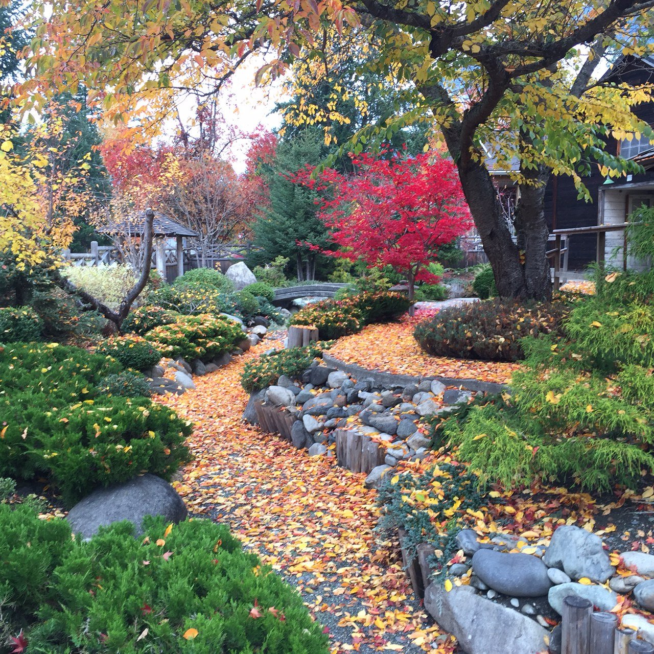 THE 5 BEST Hotels In New Denver British Columbia 2024 From 123   Lovely Fall Colour At 