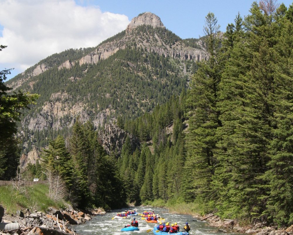 Gallatin River Learn to Fly Fish Montana Whitewater