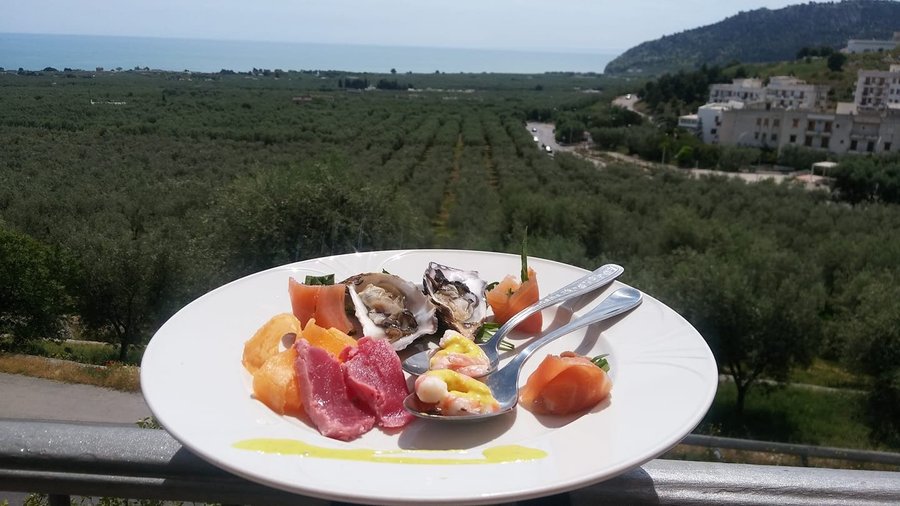 fantasia di mare immersa negli ulivi e il mare all'orizzonte