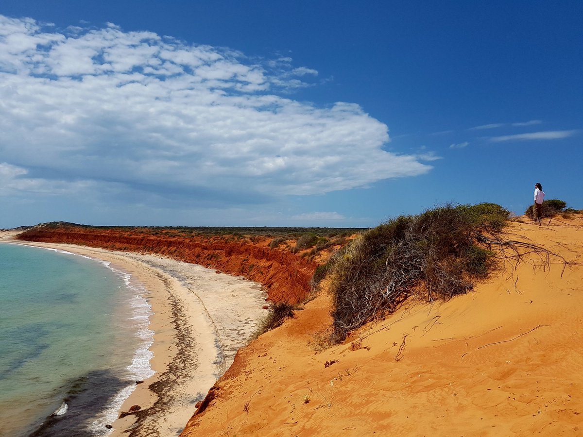 Shark Bay 4WD (Denham ) Lohnt es sich? Aktuell für 2024 (Mit fotos)