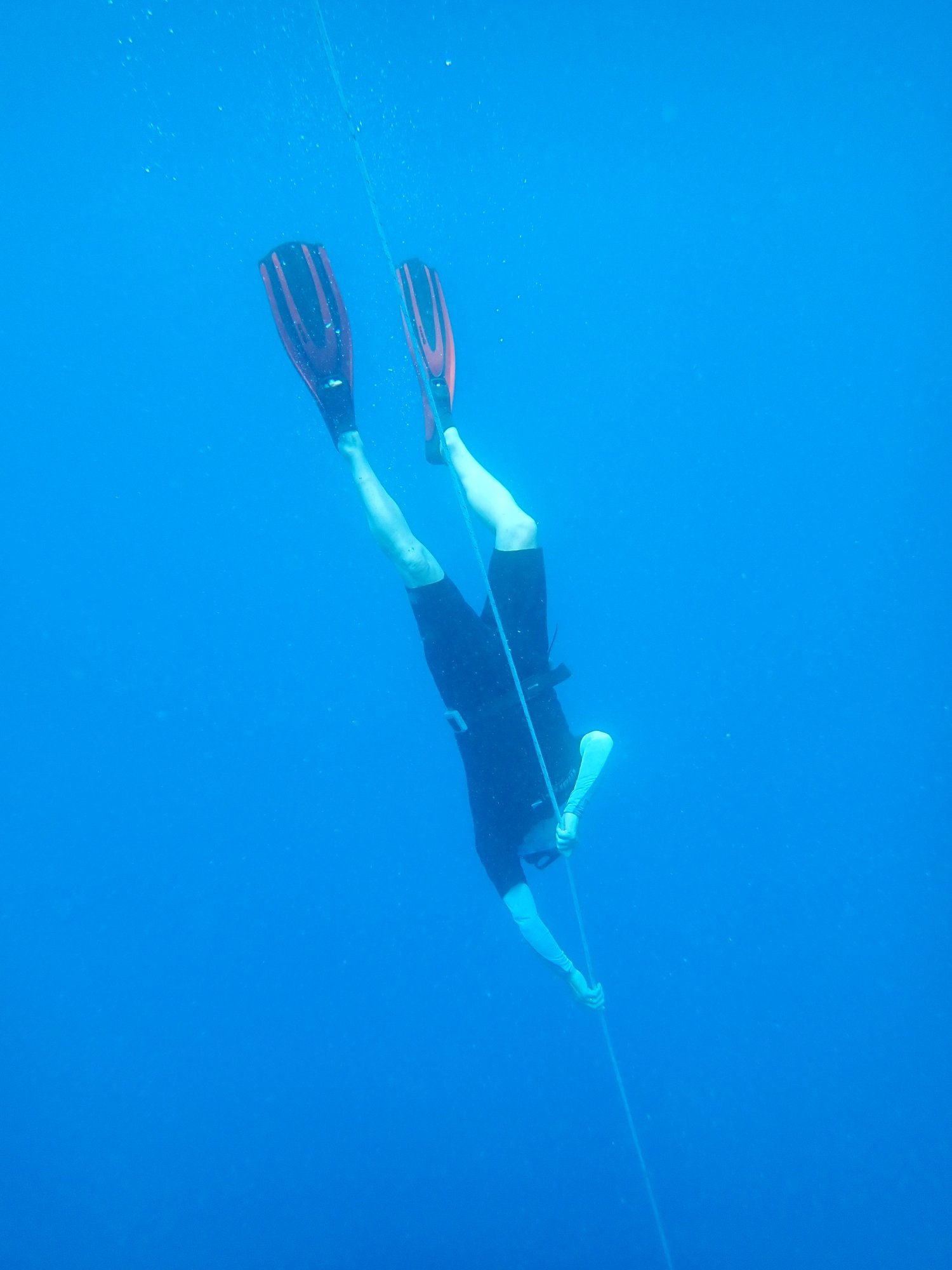 ROATAN FREEDIVING SCHOOL & TRAINING CENTER - All You Need To Know ...