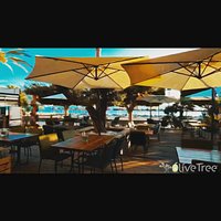 Sunrise at The Olive Tree