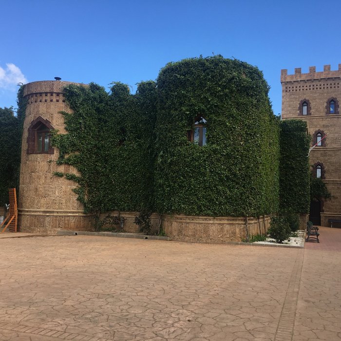 Imagen 4 de Vinedos y Bodegas El Castillo