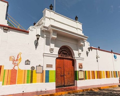 10 MEJORES Destilerías en Tequila (Actualizado 2023) - Tripadvisor