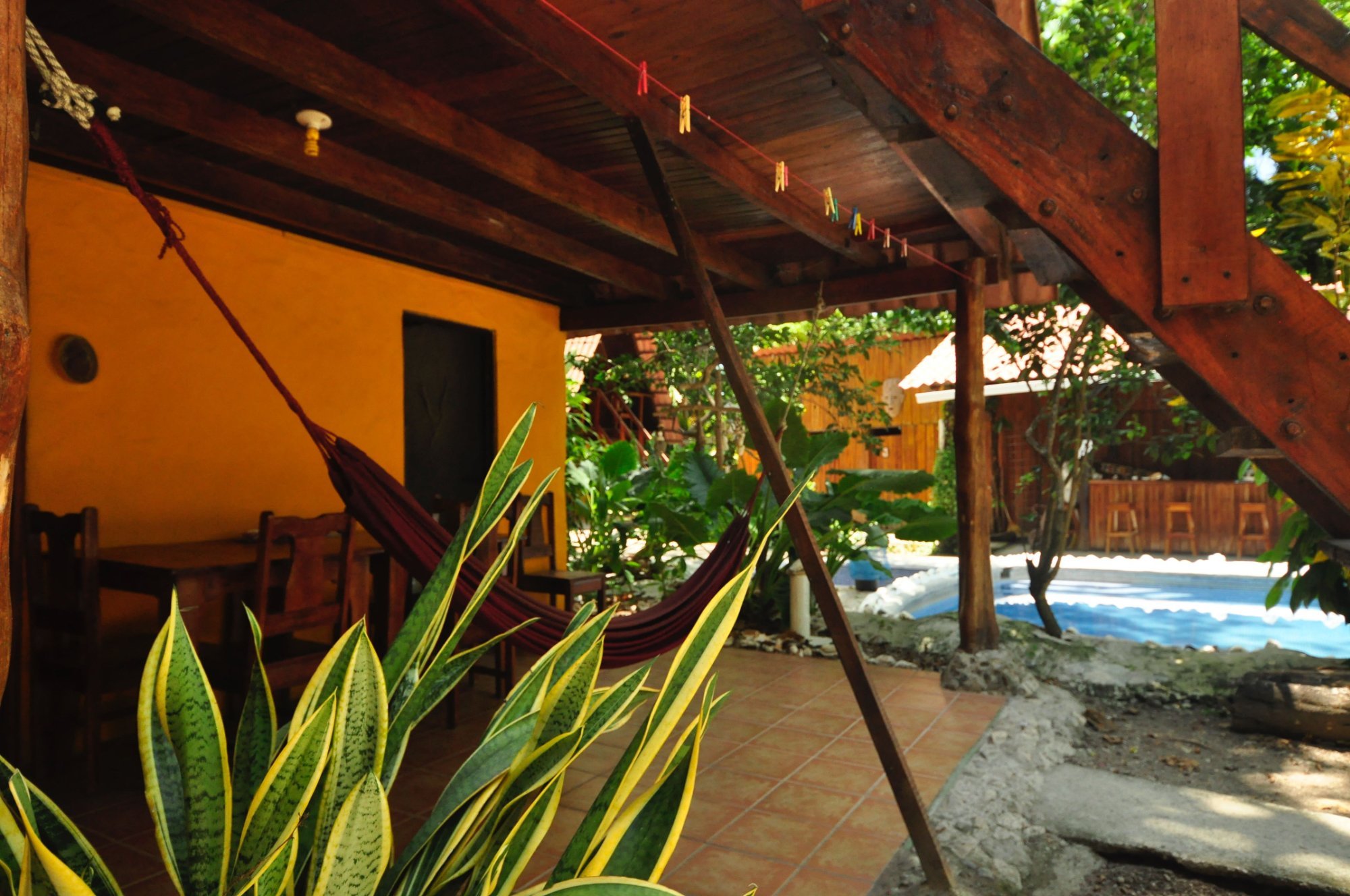 Howler Monkey Hotel by null
