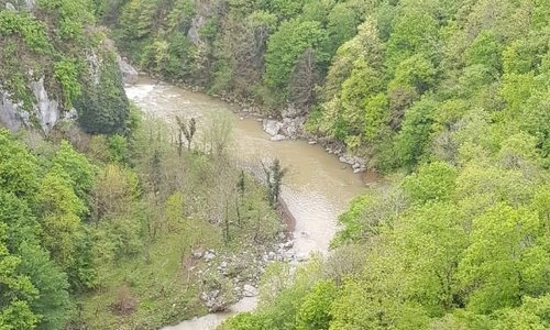 Loma Travel Georgia