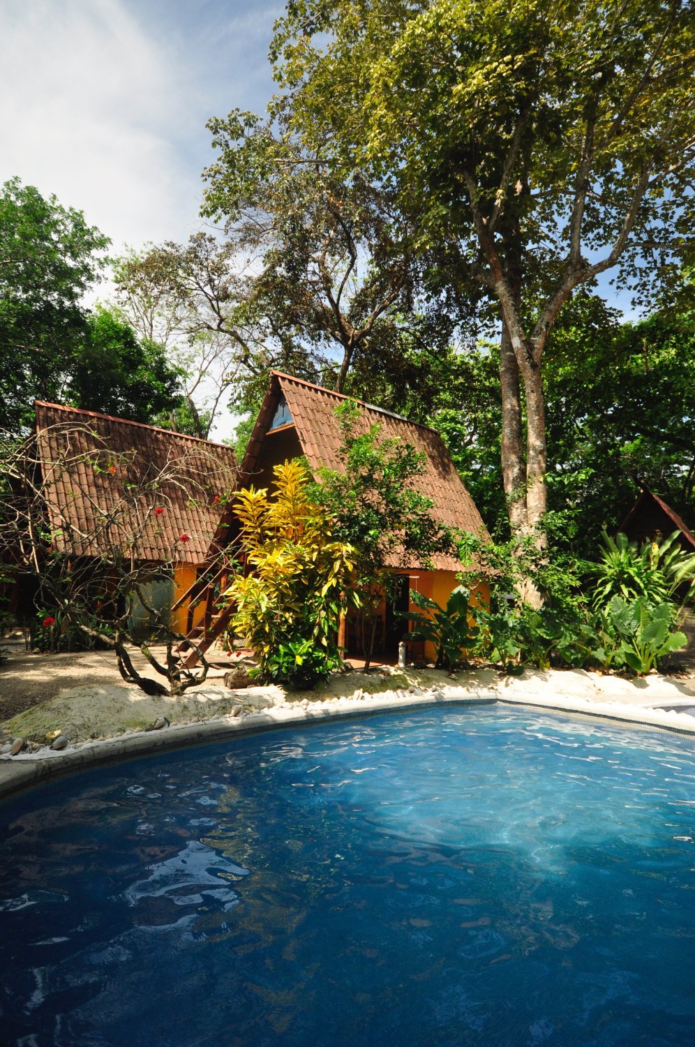Howler Monkey Hotel Pool Pictures & Reviews - Tripadvisor
