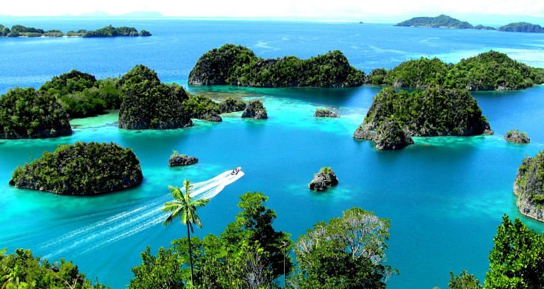 Raja Ampat Islands image