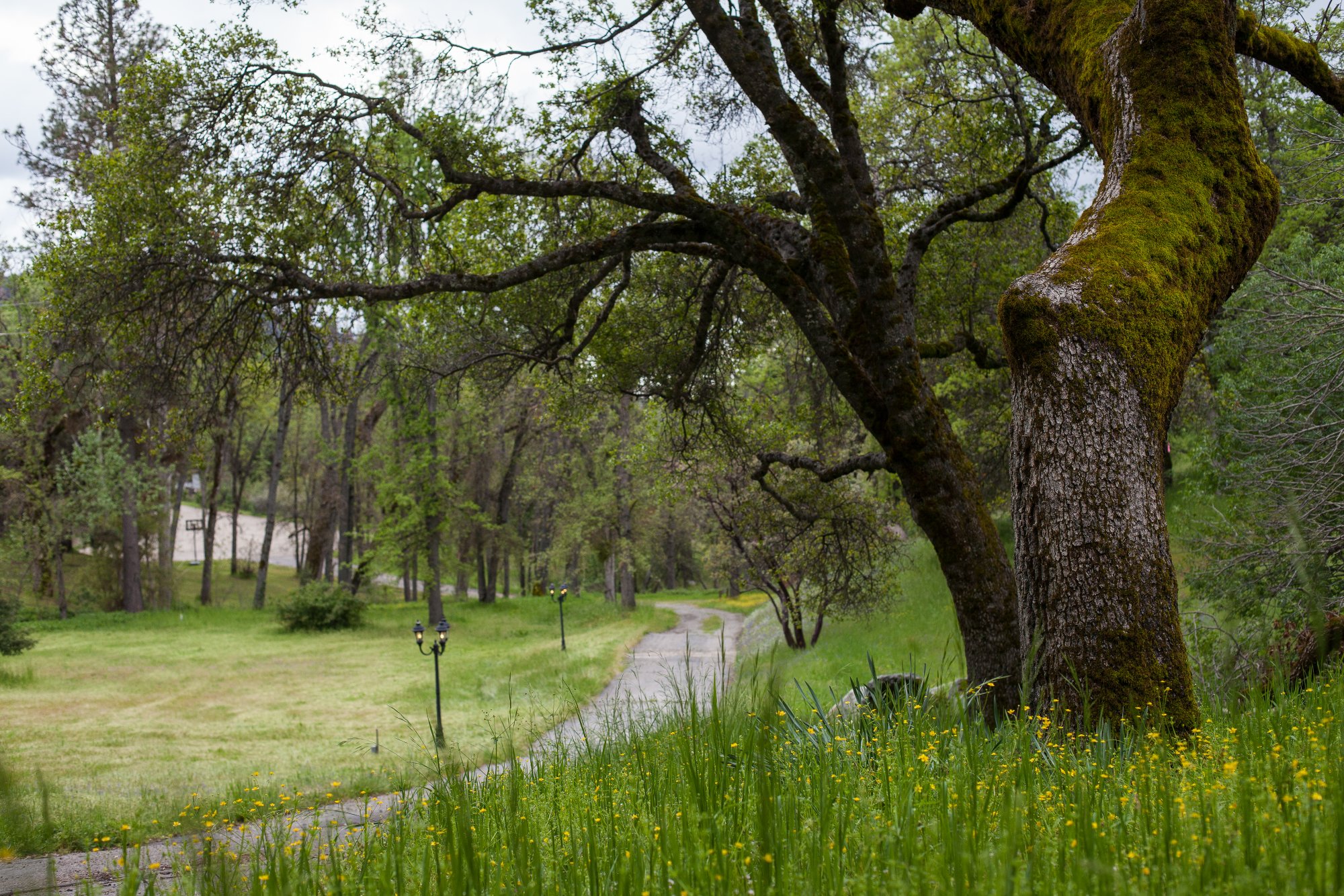 RAVENSBROOK INN YOSEMITE (Coarsegold) - B&B Reviews & Photos - Tripadvisor