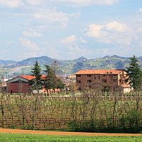 Società Agricola La Piana