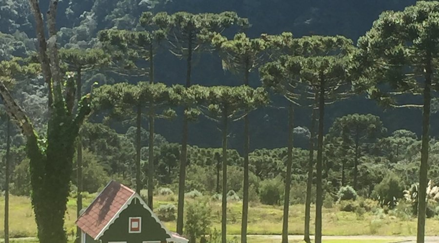 Casa Holanda