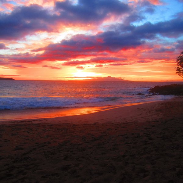 Wailea, HI: All You Must Know Before You Go (2024) - Tripadvisor