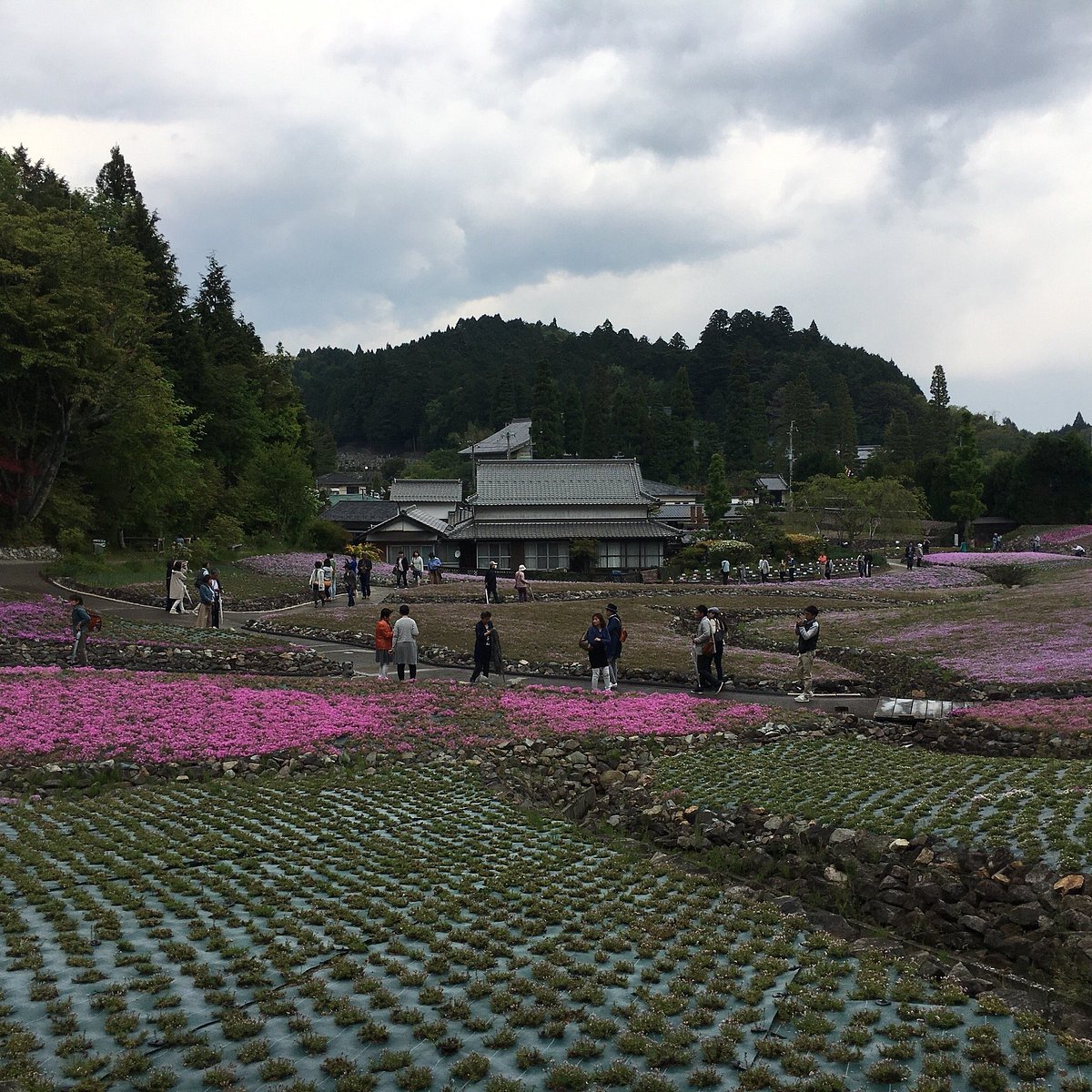 21年 花のじゅうたん 行く前に 見どころをチェック トリップアドバイザー 21年 花のじゅうたん 行く前に 見どころをチェック トリップアドバイザー