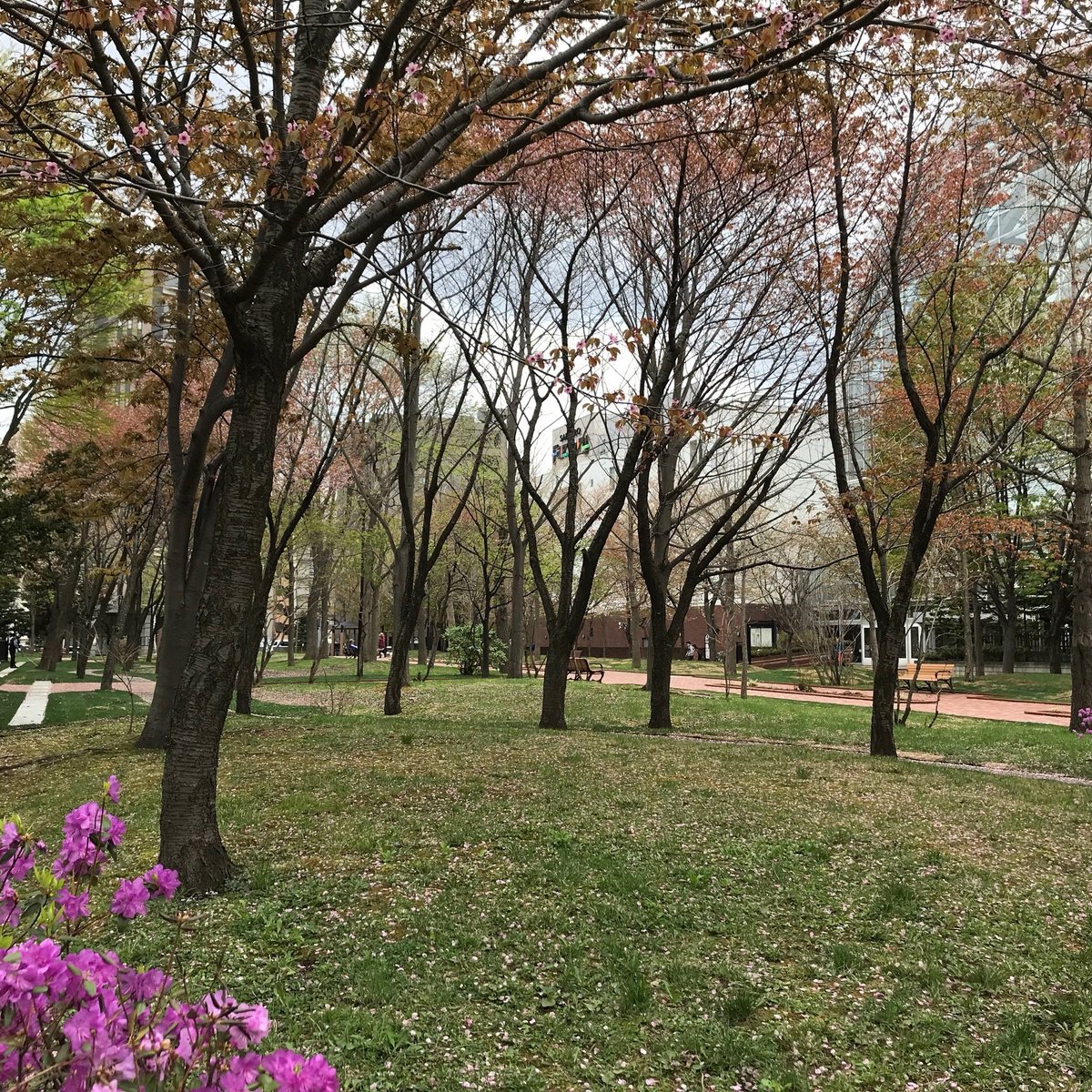 永山記念公園 口コミ 写真 地図 情報 トリップアドバイザー