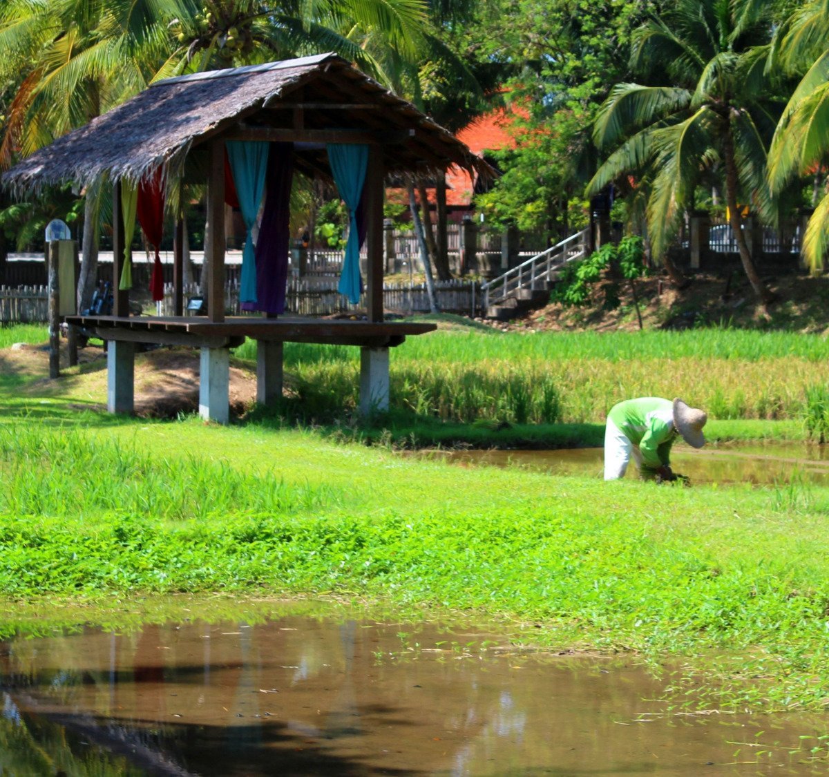 Restoran kerisik langkawi