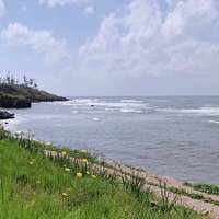 Mikunicho Seaside Nature Park