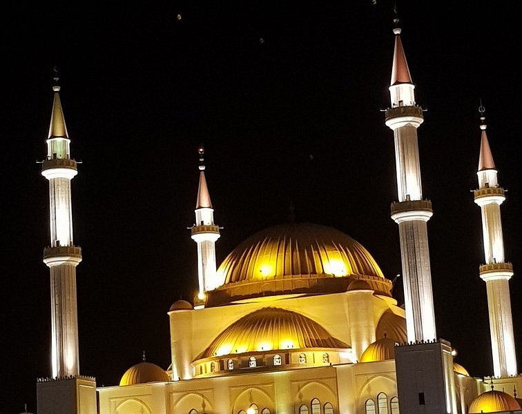 Al-Rajhi Mosque image
