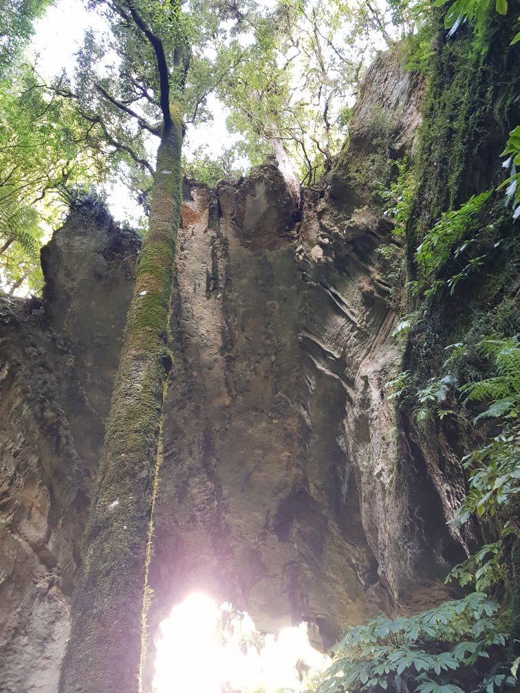 WAITOMO CAVES TOURS & TRANSFERS - 2022 Qué Saber Antes De Ir - Lo Más ...