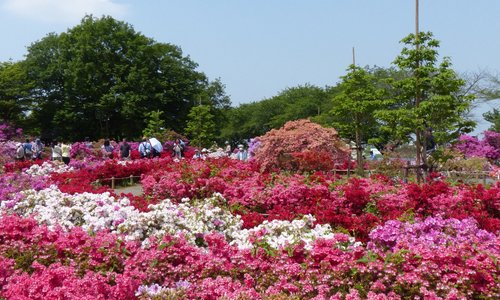 21 年日本館林市的旅遊景點 旅遊指南 行程 Tripadvisor