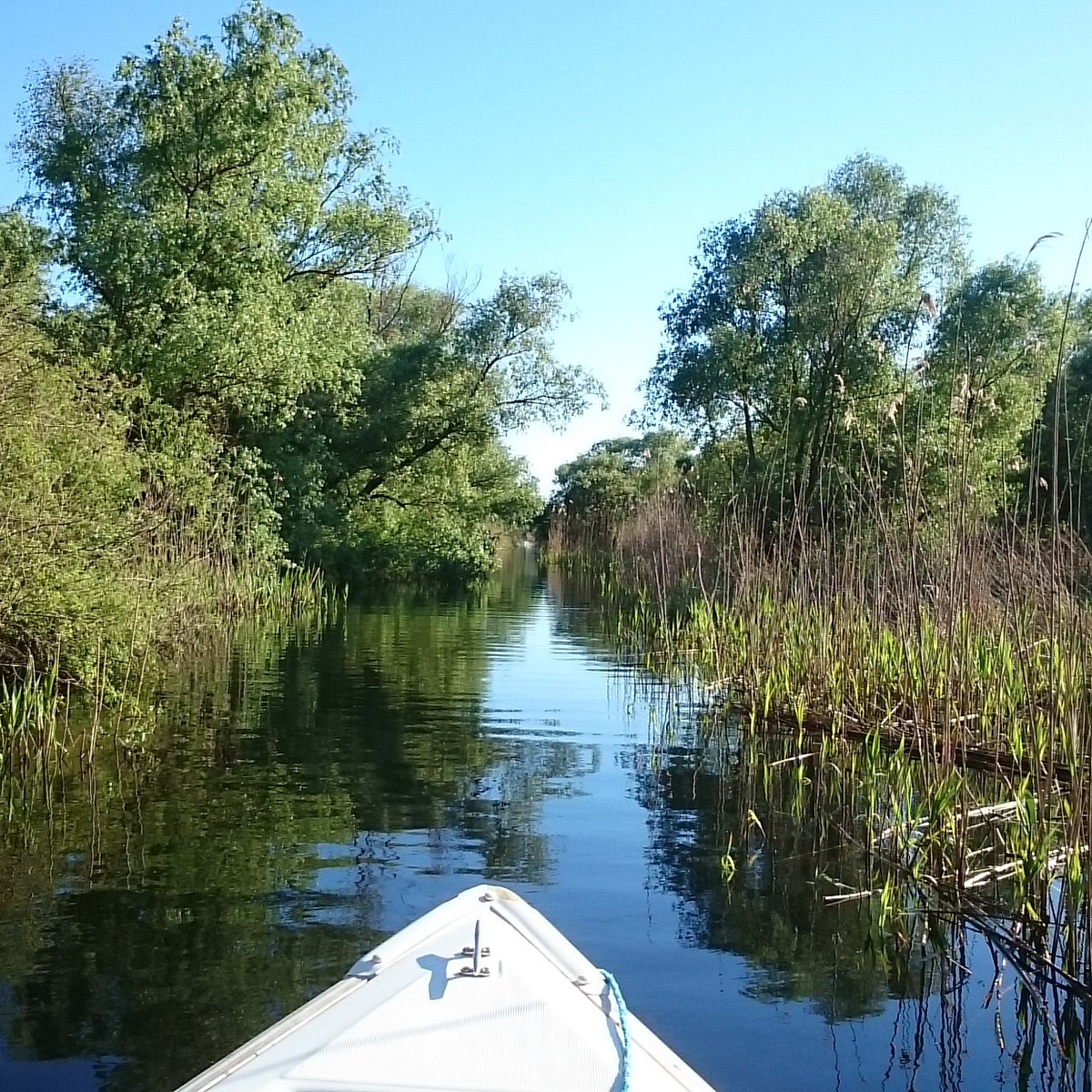 Danube Delta, Тулче: лучшие советы перед посещением - Tripadvisor