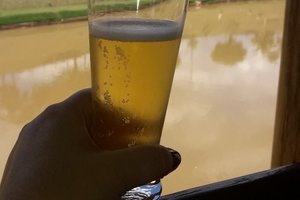 Bebidas