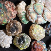 100 million-year-old opalised pine cone fossils at the Australian Opal Centre.