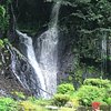 Things To Do in Hijiri Falls, Restaurants in Hijiri Falls