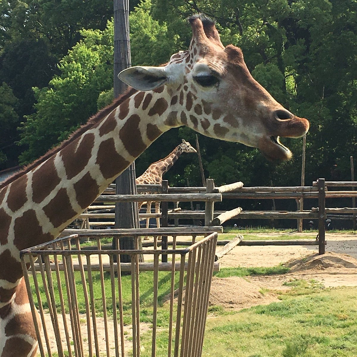 22年 みさき公園 行く前に 見どころをチェック トリップアドバイザー