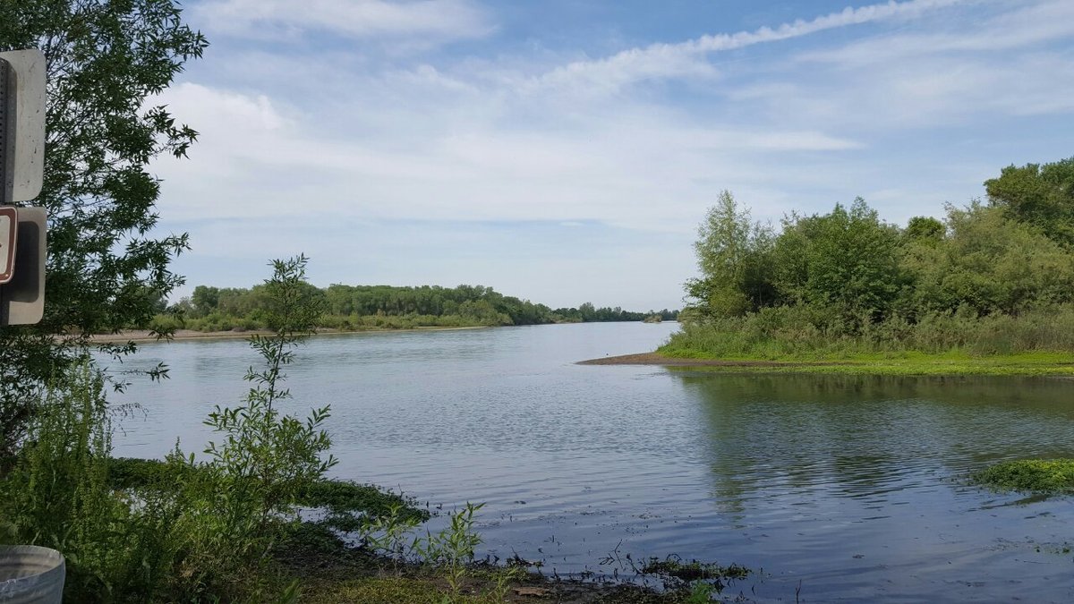 Escape to Paradise: Uncovering the Magic of Bidwell-Sacramento River State Park