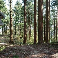 矢刺神社