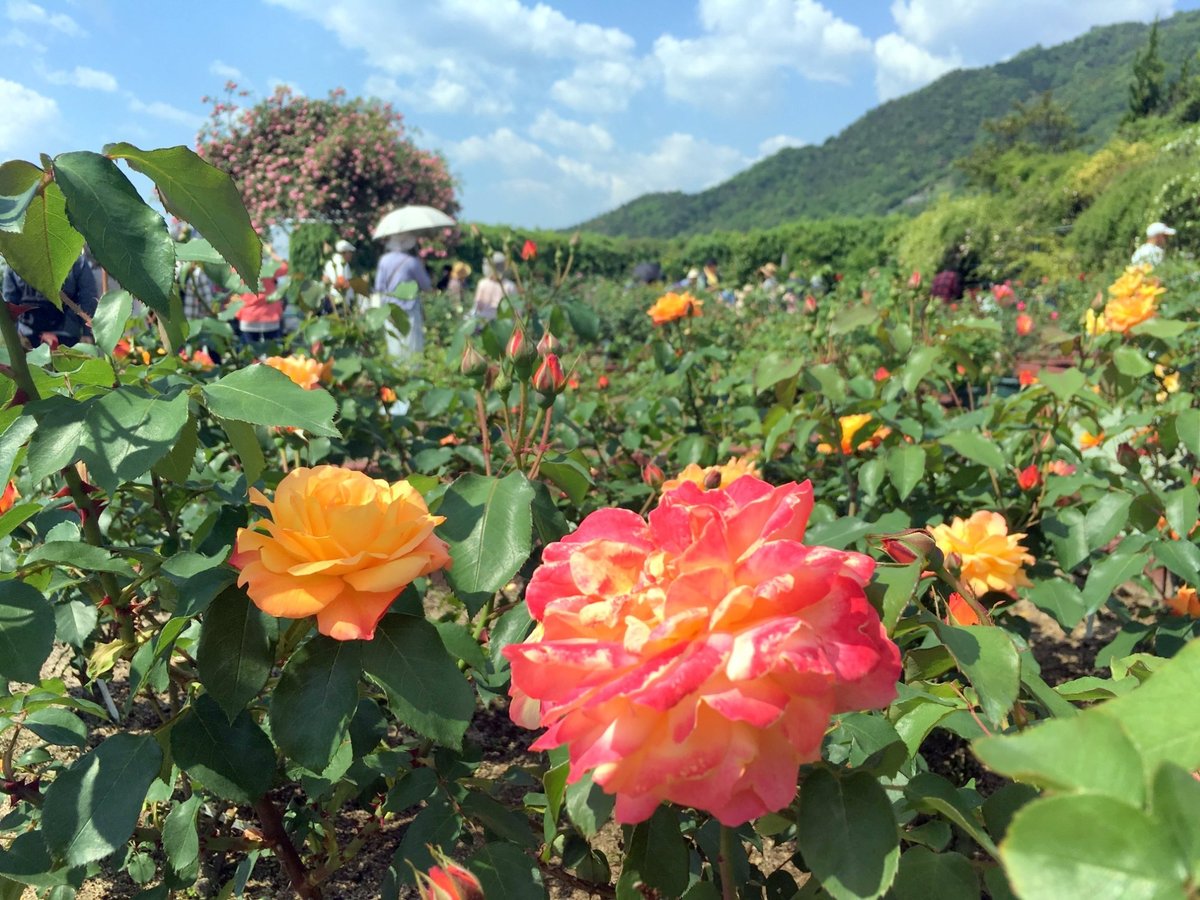 22年 広島市植物公園 行く前に 見どころをチェック トリップアドバイザー