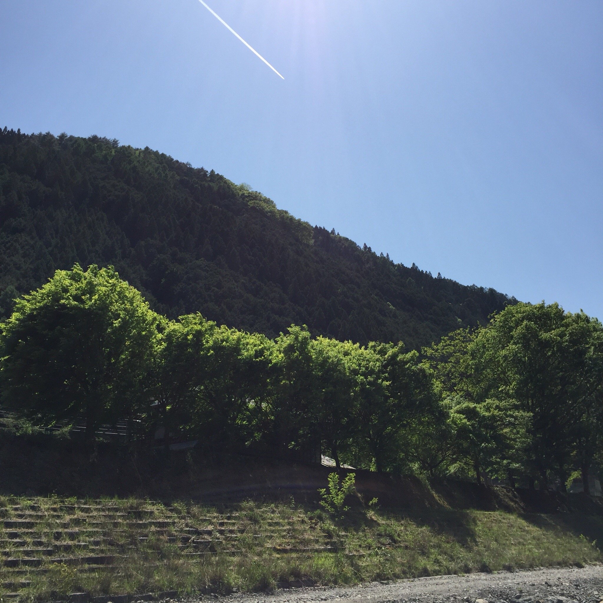 409-0211 山梨県北都留郡小菅村 その他 山梨県北都留郡小菅村池之尻４３８３ セール １ 小菅フィッシングビレッジ