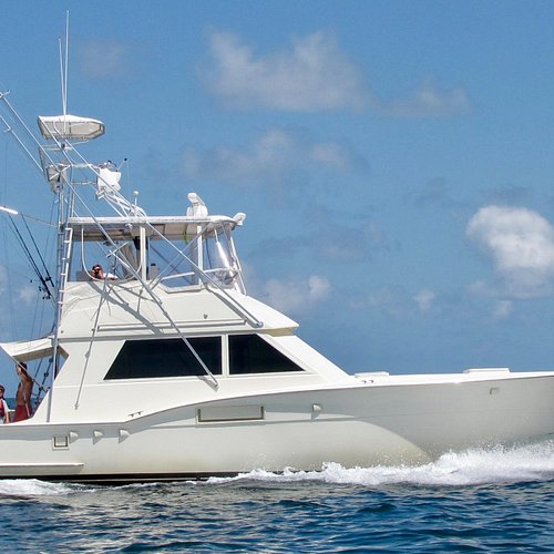 THE 10 BEST Orange Beach Fishing Charters & Tours (Updated 2024)