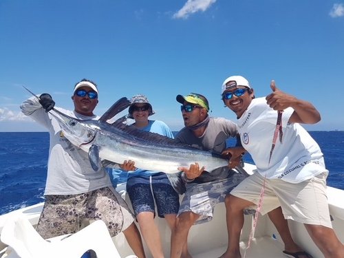 Introducir 48+ imagen cozumel fishing charters reviews