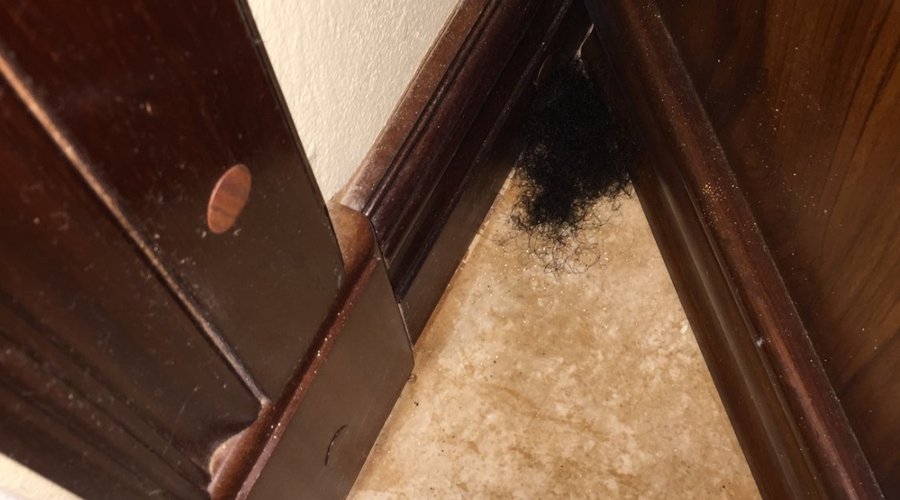 Mound of pubic hair