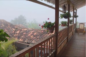 Vista desde la habitación