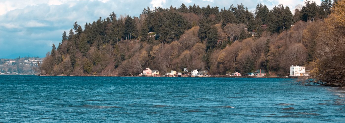 waves on the shore