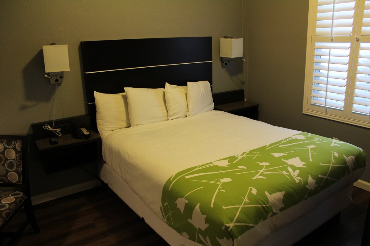 Layne Hotel Rooms: Pictures & Reviews - Tripadvisor