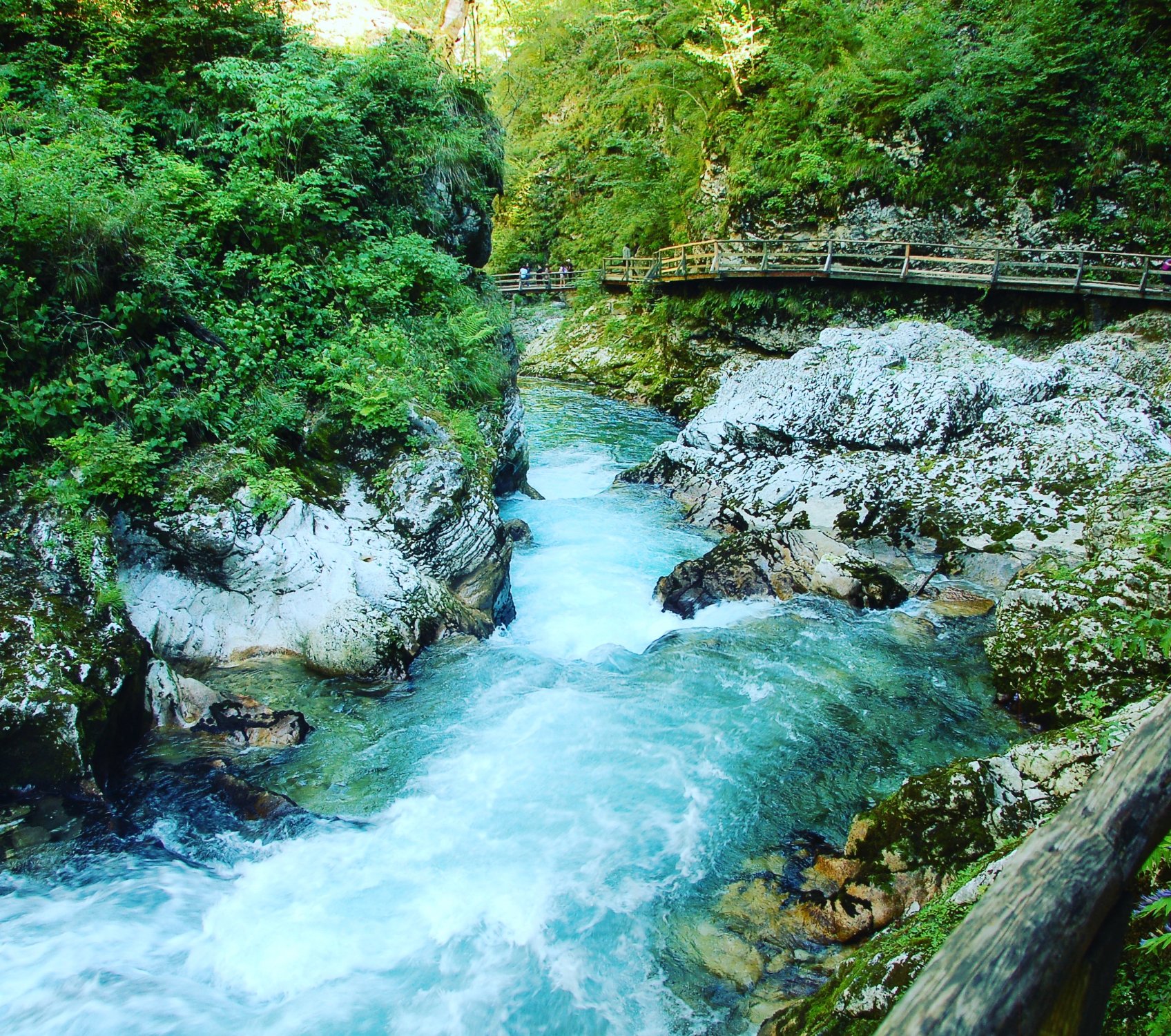 THE 15 BEST Things To Do In Slovenia 2024 Must See Attractions   Vintgar Gorge 