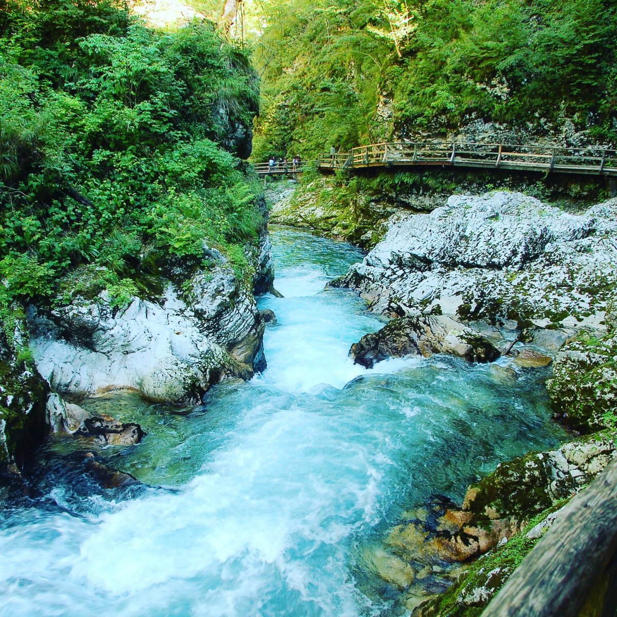 Soteska Vintgar (Gorge / Klamm / Gola) - Podhom 80