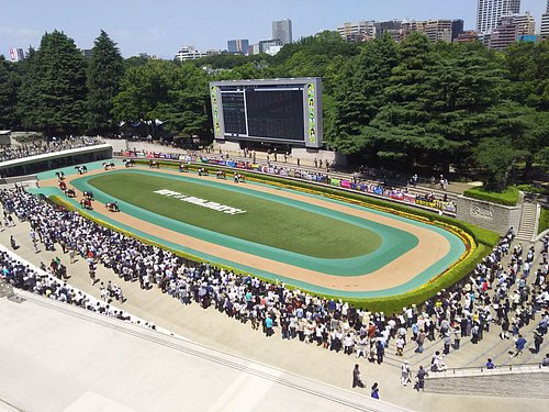 21年 府中市で絶対外さないおすすめ観光スポットトップ10 定番から穴場まで トリップアドバイザー