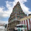 Things To Do in Saraswati Temple, Restaurants in Saraswati Temple