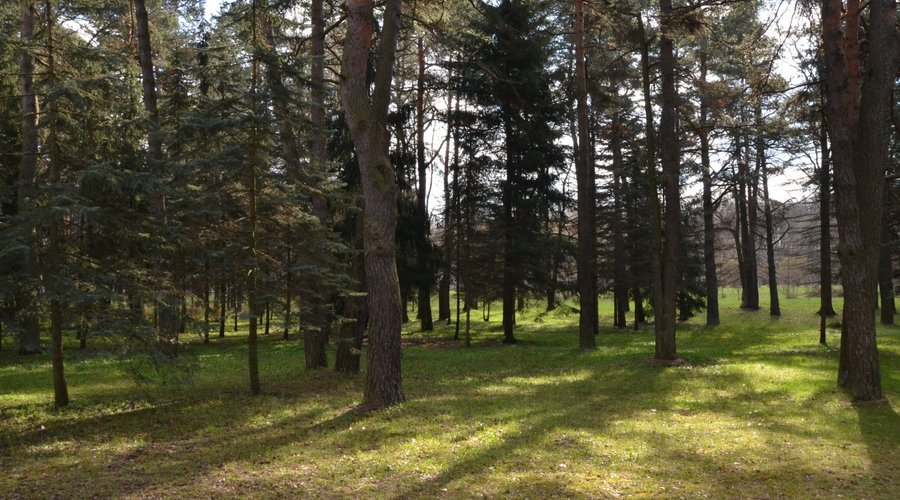 Парк Челюскинцев
