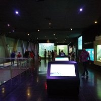 Acuario