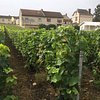 Things To Do in Champagne Alfred Tritant, Restaurants in Champagne Alfred Tritant
